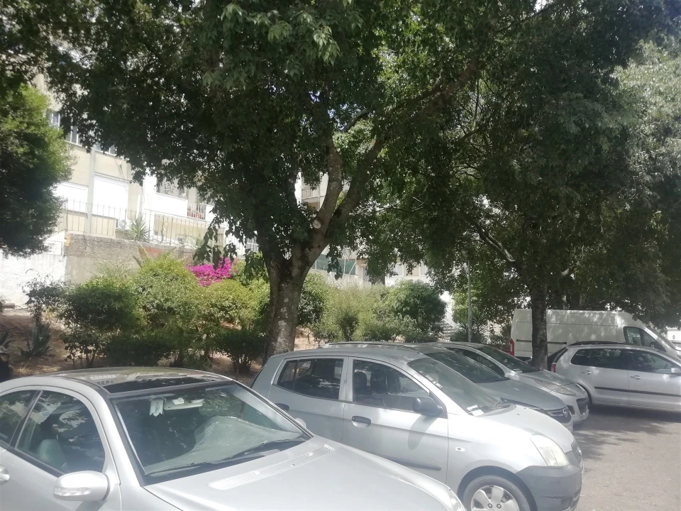 Apartamento T2 para Venda em Falagueira-Venda Nova Foto 68