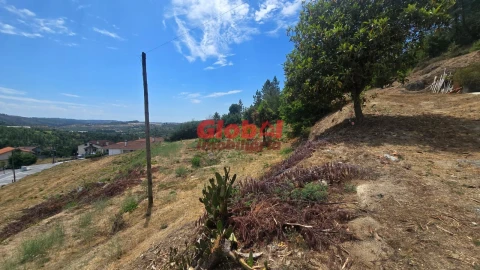 Quinta T0 para Venda em Santos Evos
