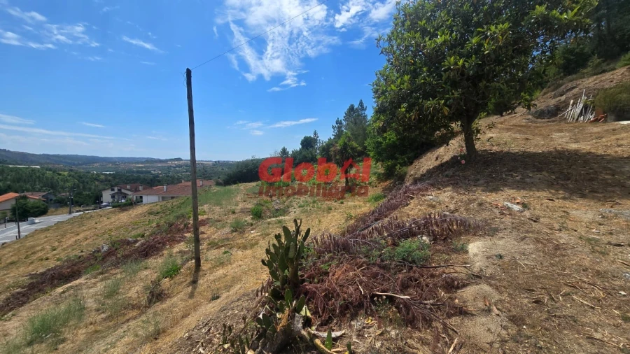 Quinta T0 para Venda em Santos Evos Foto 6