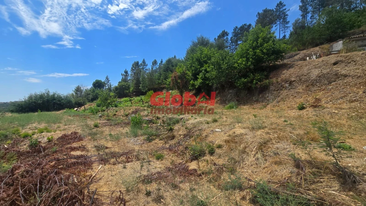 Quinta T0 para Venda em Santos Evos Foto 2