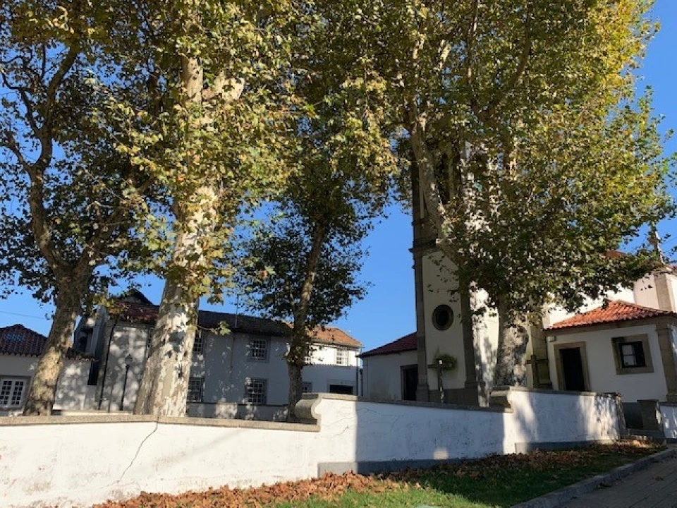 Apartamento T4 para Venda em Aldoar, Foz do Douro e Nevogilde Foto 6