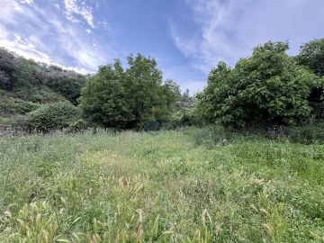 Terreno Agricola ou Rústico para Venda em Agrobom, Saldonha e Vale Pereiro