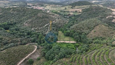 Terreno Agricola ou Rústico para Venda em Agrobom, Saldonha e Vale Pereiro