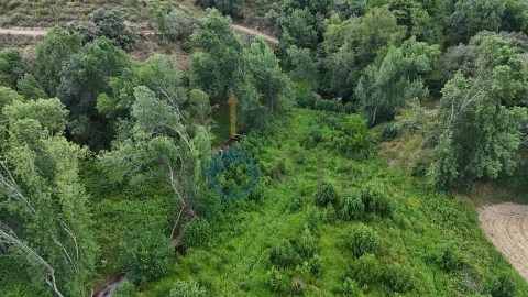 Terreno Agricola ou Rústico para Venda em Agrobom, Saldonha e Vale Pereiro