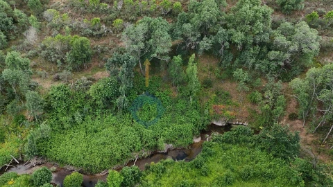 Terreno Agricola ou Rústico para Venda em Agrobom, Saldonha e Vale Pereiro