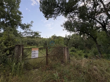 Terreno Agricola ou Rústico para Venda em Agrobom, Saldonha e Vale Pereiro