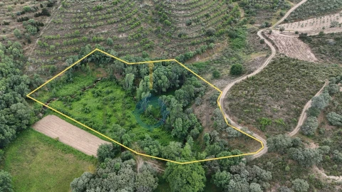 Terreno Agricola ou Rústico para Venda em Agrobom, Saldonha e Vale Pereiro