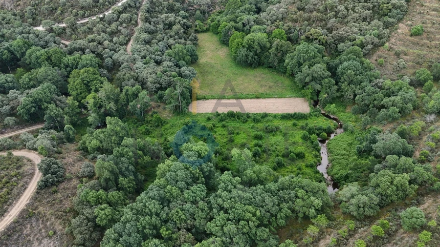 Terreno Agricola ou Rústico para Venda em Agrobom, Saldonha e Vale Pereiro Foto 6