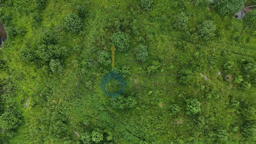 Terreno Agricola ou Rústico para Venda em Agrobom, Saldonha e Vale Pereiro Foto 9