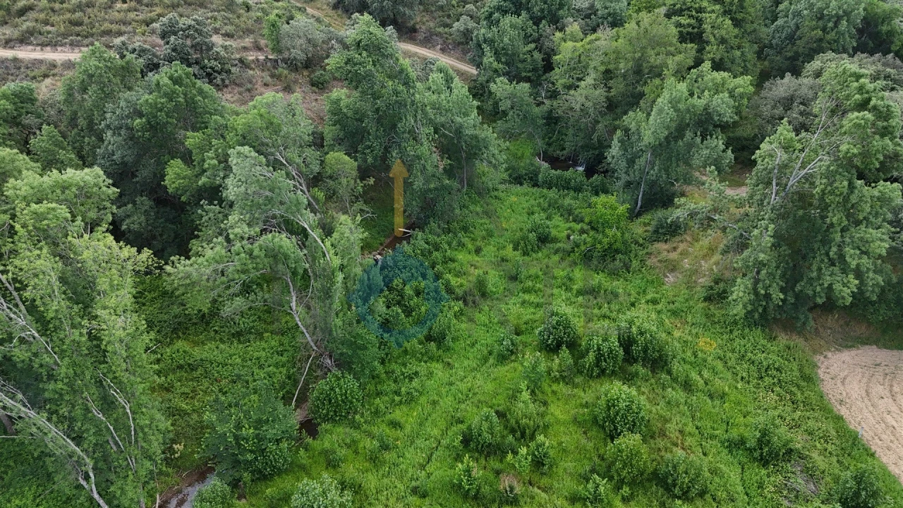 Terreno Agricola ou Rústico para Venda em Agrobom, Saldonha e Vale Pereiro Foto 7