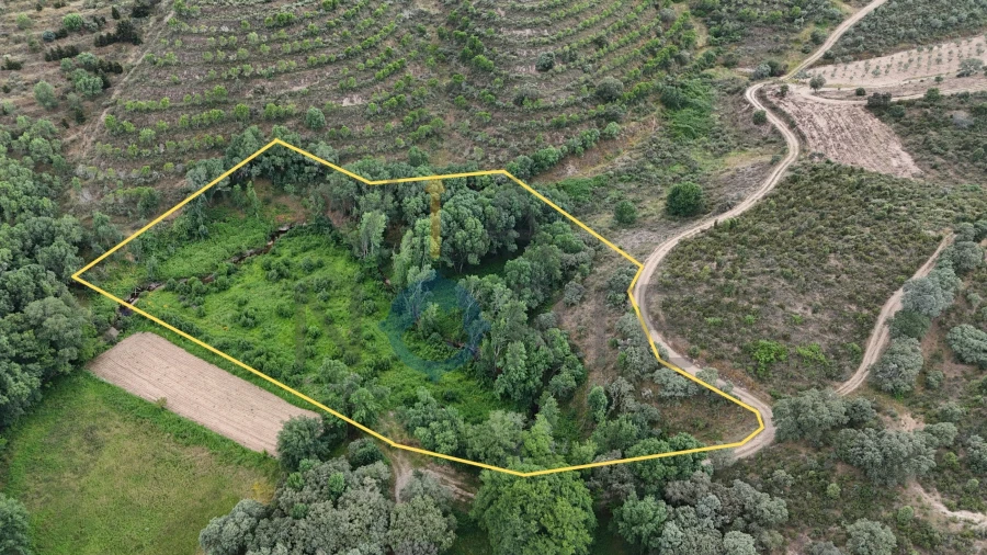 Terreno Agricola ou Rústico para Venda em Agrobom, Saldonha e Vale Pereiro