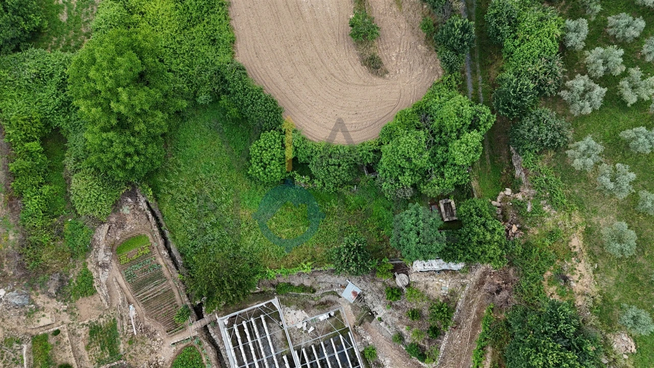 Terreno Agricola ou Rústico para Venda em Agrobom, Saldonha e Vale Pereiro Foto 3