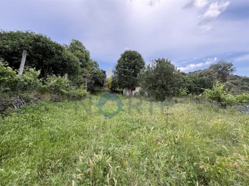 Terreno Agricola ou Rústico para Venda em Agrobom, Saldonha e Vale Pereiro