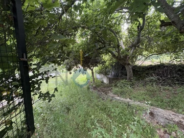 Terreno Agricola ou Rústico para Venda em Agrobom, Saldonha e Vale Pereiro