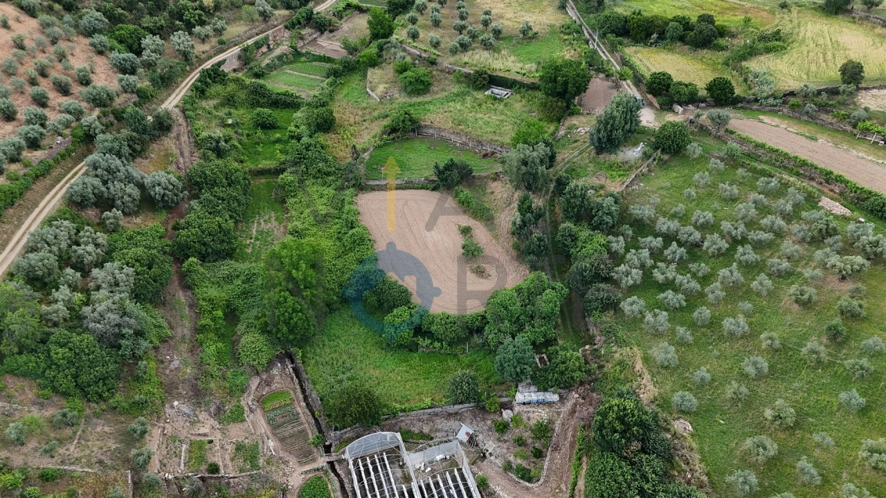 Terreno Agricola ou Rústico para Venda em Agrobom, Saldonha e Vale Pereiro Foto 2