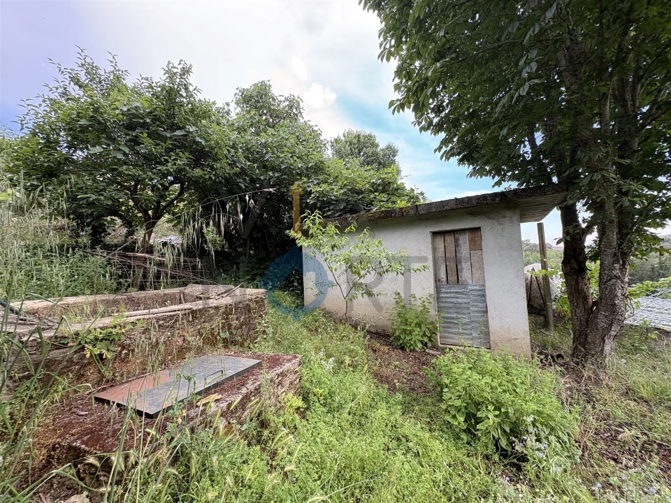 Terreno Agricola ou Rústico para Venda em Agrobom, Saldonha e Vale Pereiro Foto 8