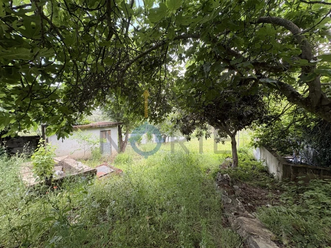 Terreno Agricola ou Rústico para Venda em Agrobom, Saldonha e Vale Pereiro Foto 10