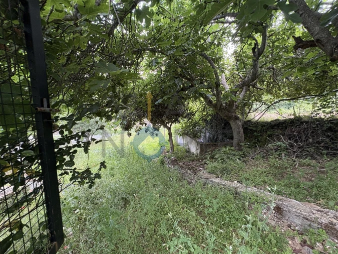 Terreno Agricola ou Rústico para Venda em Agrobom, Saldonha e Vale Pereiro Foto 9