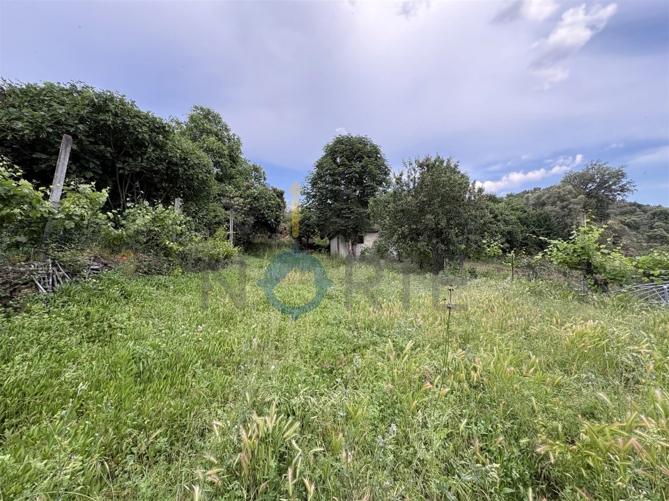 Terreno Agricola ou Rústico para Venda em Agrobom, Saldonha e Vale Pereiro Foto 12