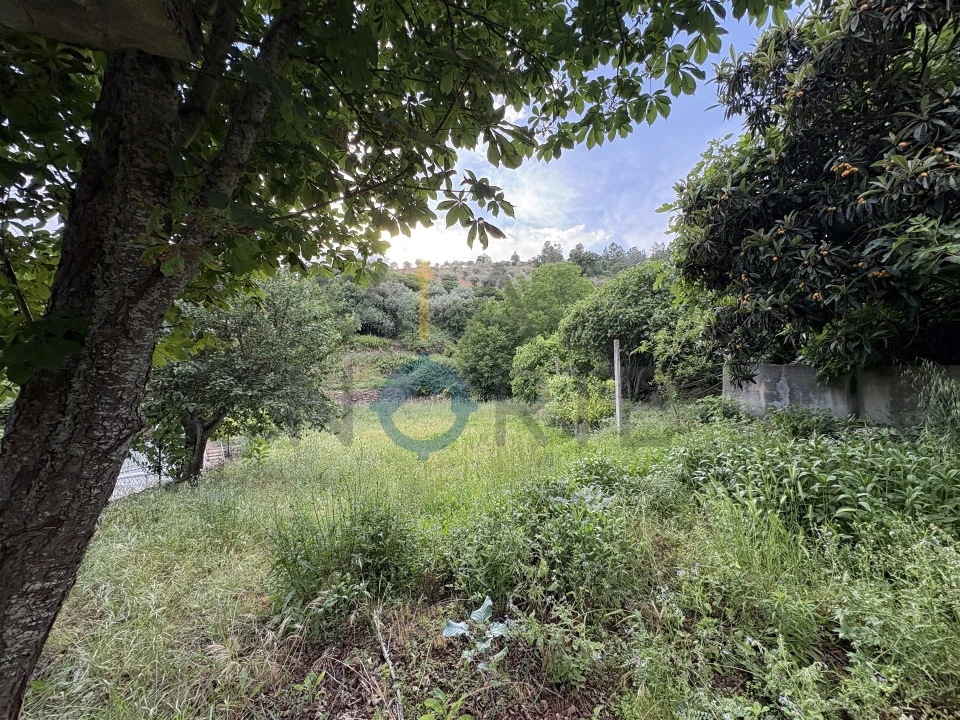 Terreno Agricola ou Rústico para Venda em Agrobom, Saldonha e Vale Pereiro Foto 7