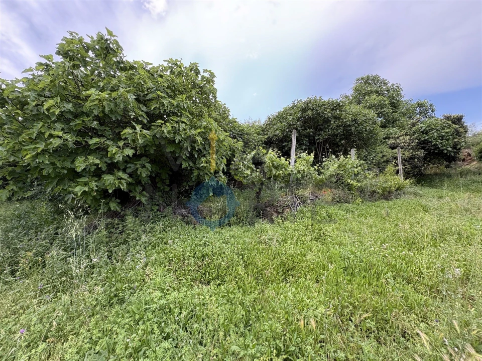Terreno Agricola ou Rústico para Venda em Agrobom, Saldonha e Vale Pereiro Foto 11