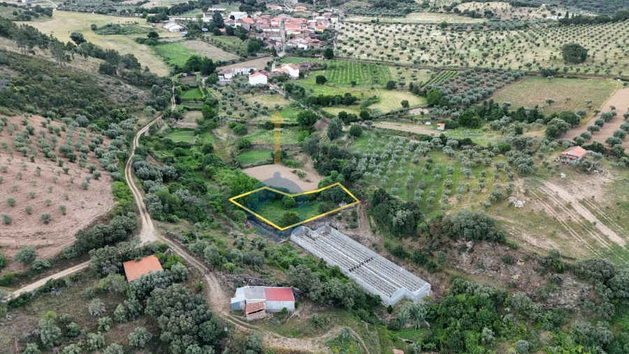 Terreno Agricola ou Rústico para Venda em Agrobom, Saldonha e Vale Pereiro