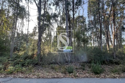 Terreno para Venda em Canas de Santa Maria