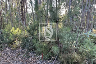 Terreno para Venda em Canas de Santa Maria