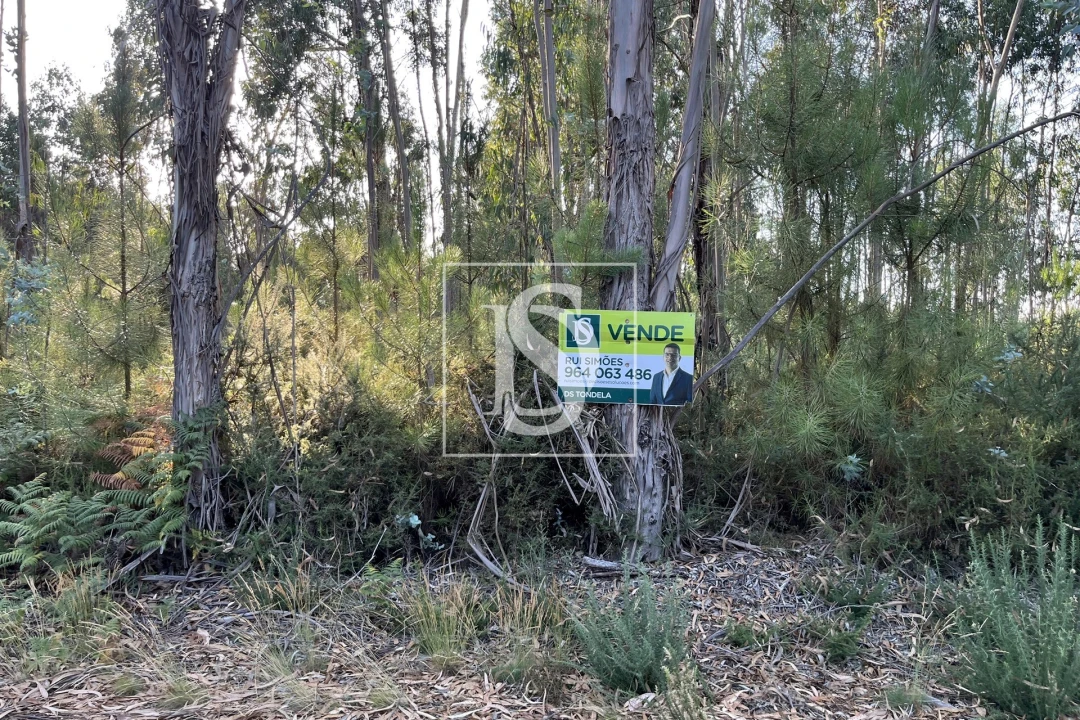 Terreno para Venda em Canas de Santa Maria Foto 4