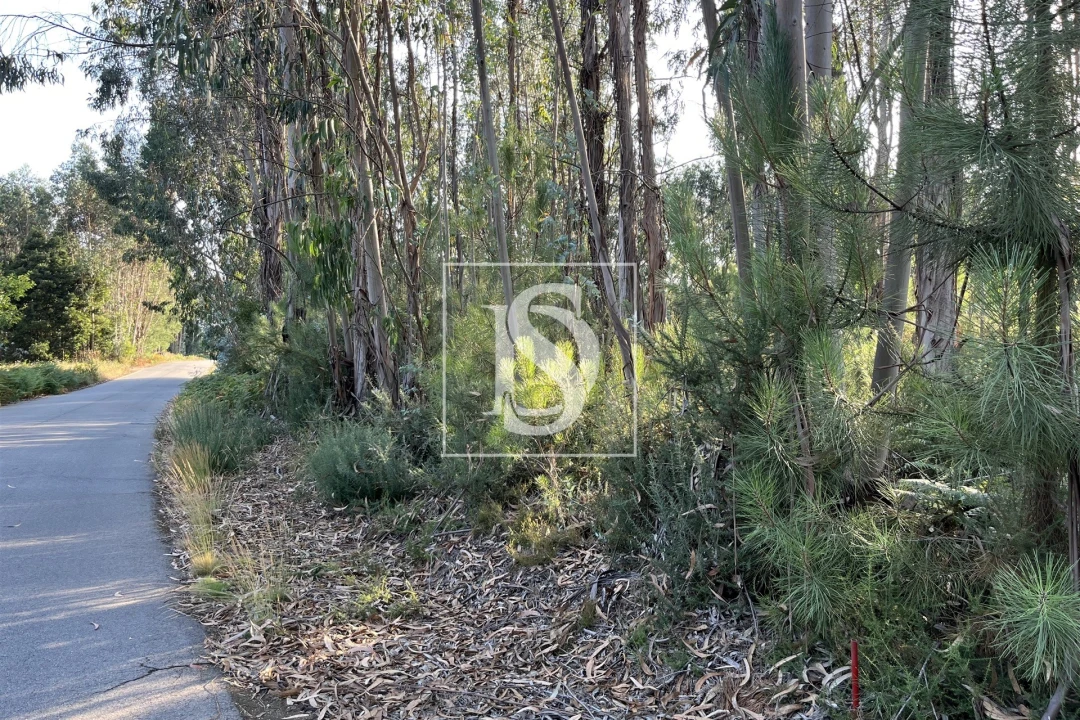 Terreno para Venda em Canas de Santa Maria Foto 2