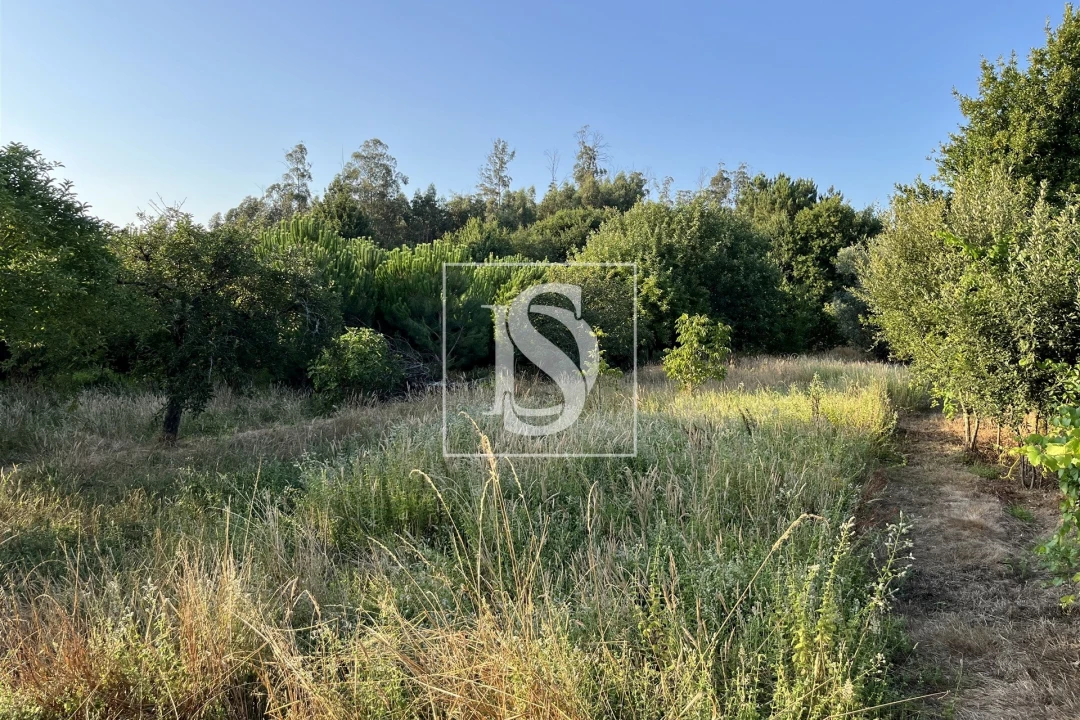 Terreno para Venda em Canas de Santa Maria Foto 1