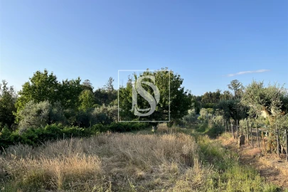 Terreno para Venda em Canas de Santa Maria