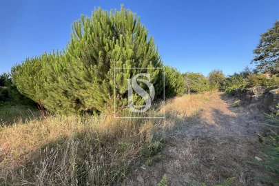 Terreno para Venda em Canas de Santa Maria