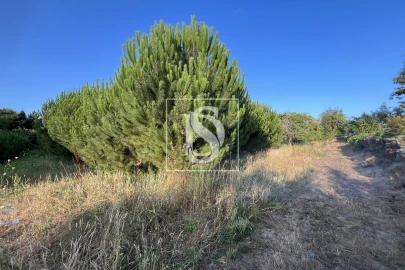Terreno para Venda em Canas de Santa Maria