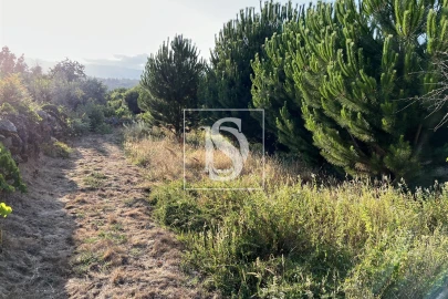 Terreno para Venda em Canas de Santa Maria