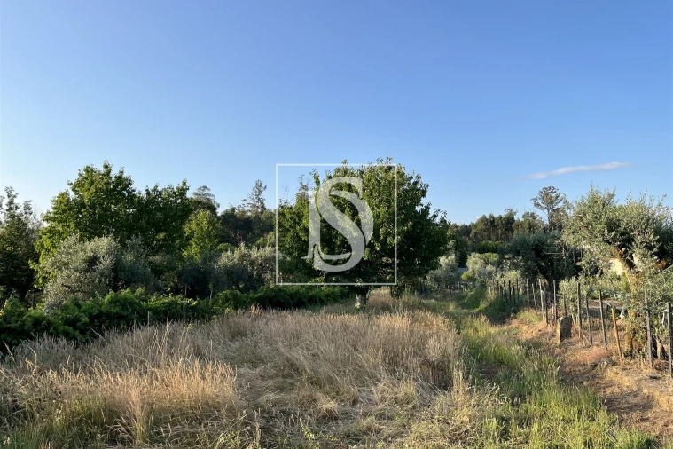 Terreno para Venda em Canas de Santa Maria Foto 5
