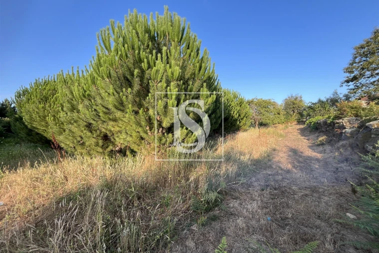 Terreno para Venda em Canas de Santa Maria Foto 4