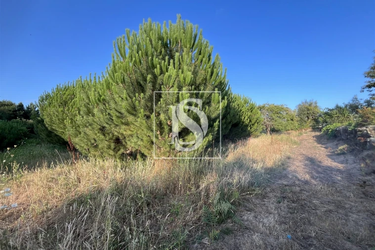 Terreno para Venda em Canas de Santa Maria Foto 8