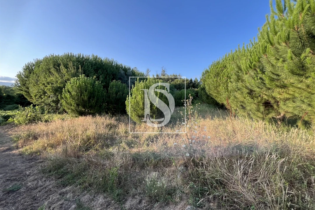 Terreno para Venda em Canas de Santa Maria Foto 3