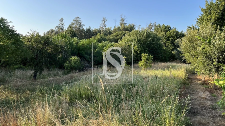 Terreno para Venda em Canas de Santa Maria