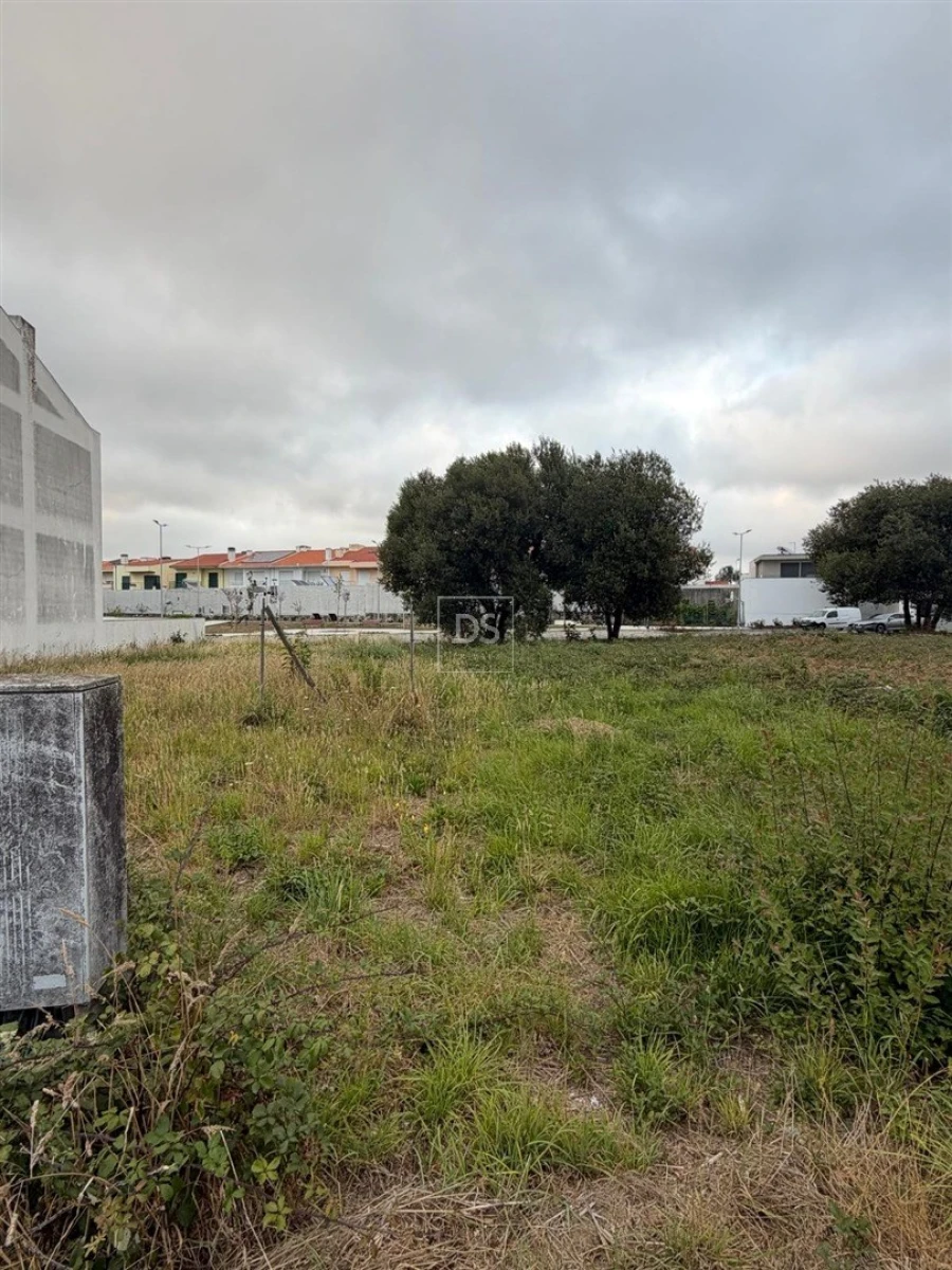 Terreno para Venda em Vila Nova da Telha Foto 11