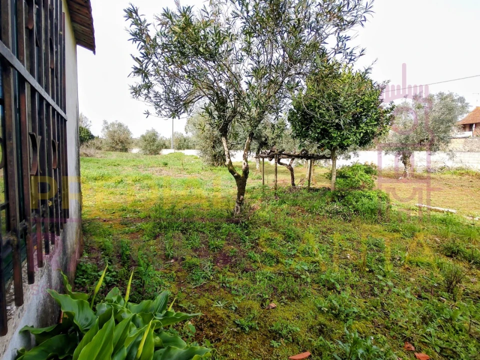 Moradia T2 para Venda em São Miguel, Santa Eufémia e Rabaçal Foto 24