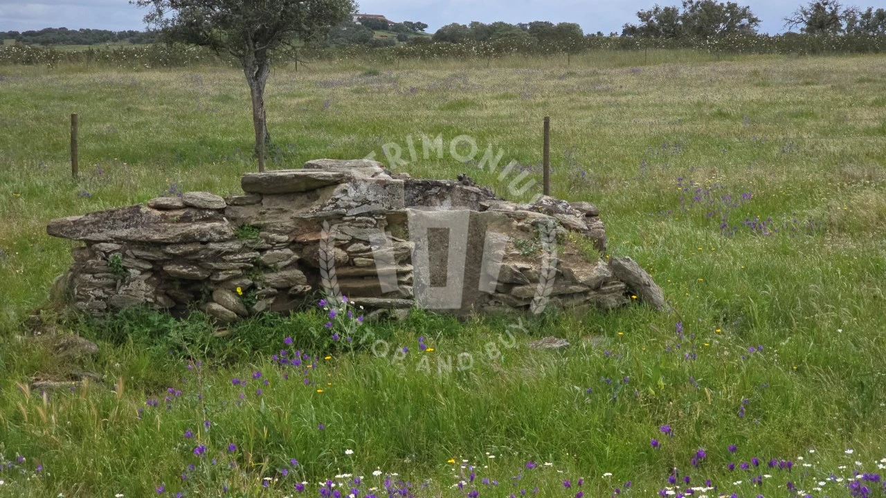 Quinta para Venda em Ourique Foto 26