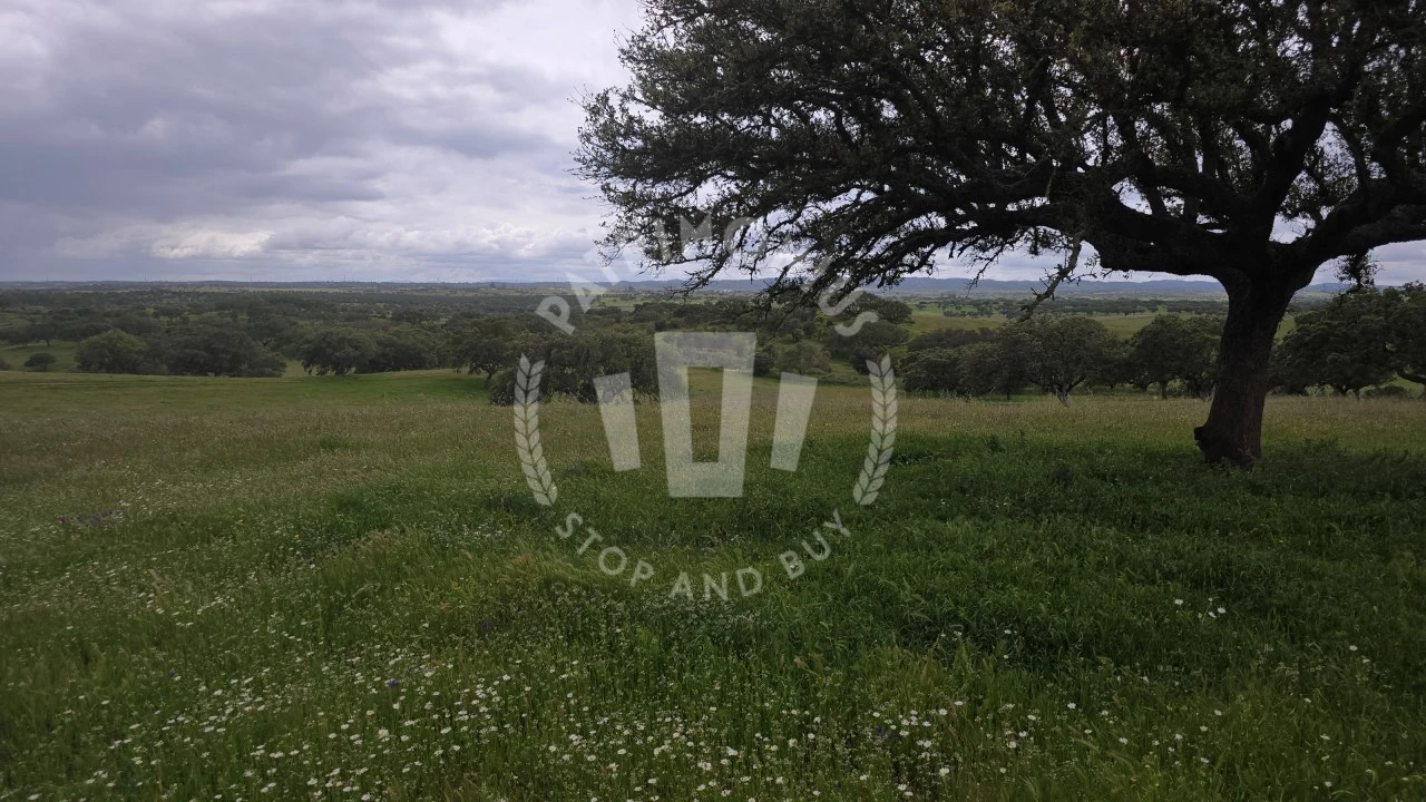Quinta para Venda em Ourique Foto 31