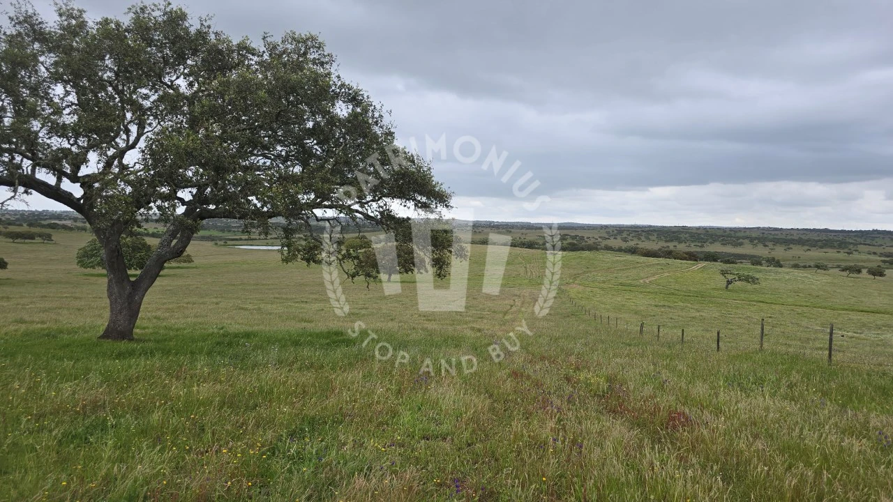 Quinta para Venda em Ourique Foto 33