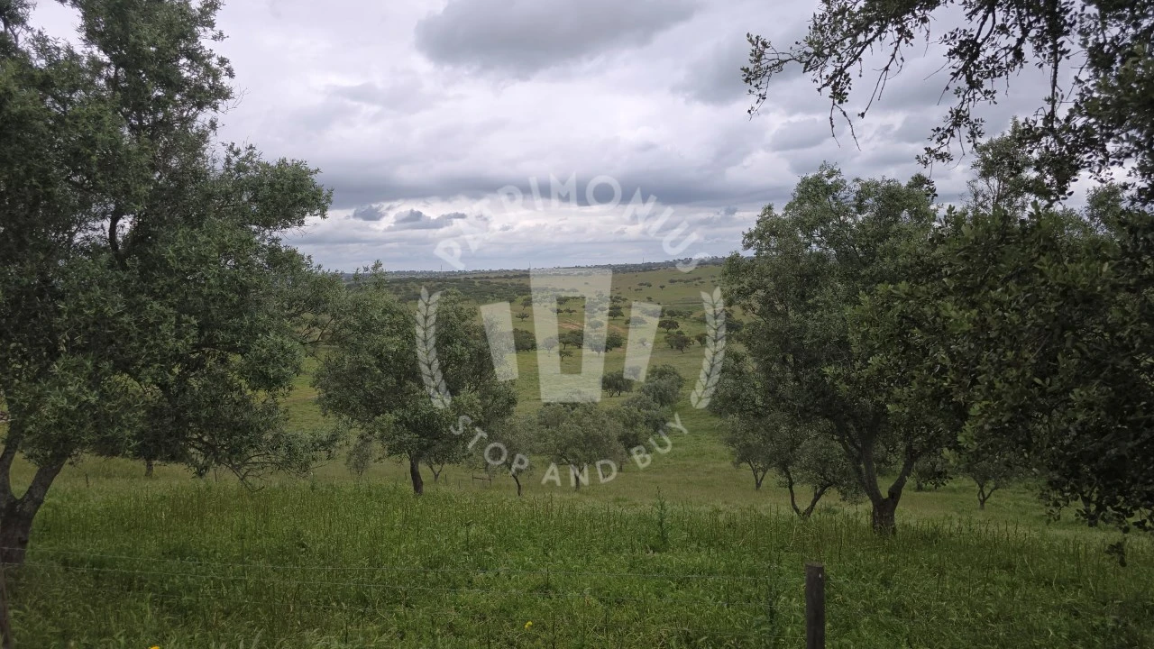 Quinta para Venda em Ourique Foto 53