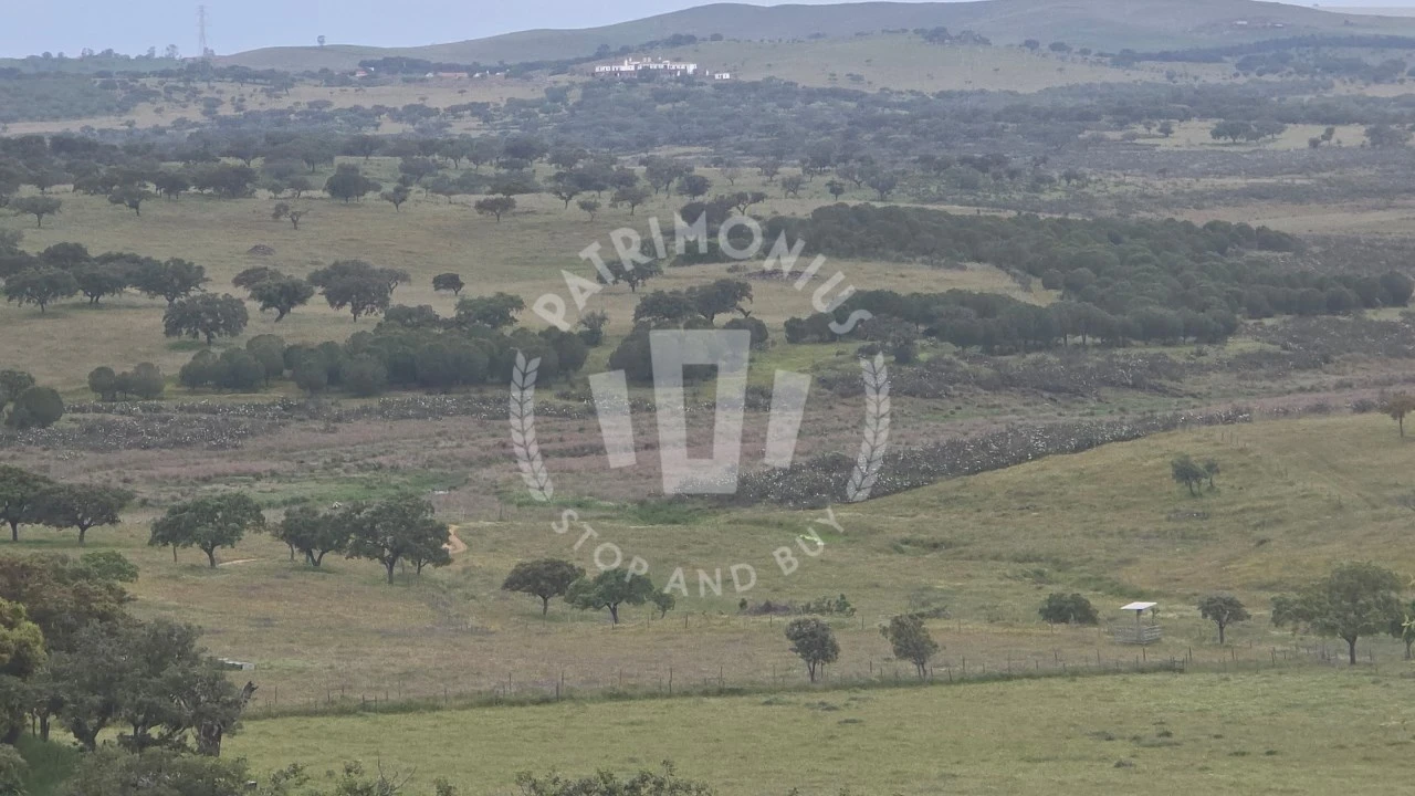 Quinta para Venda em Ourique Foto 36