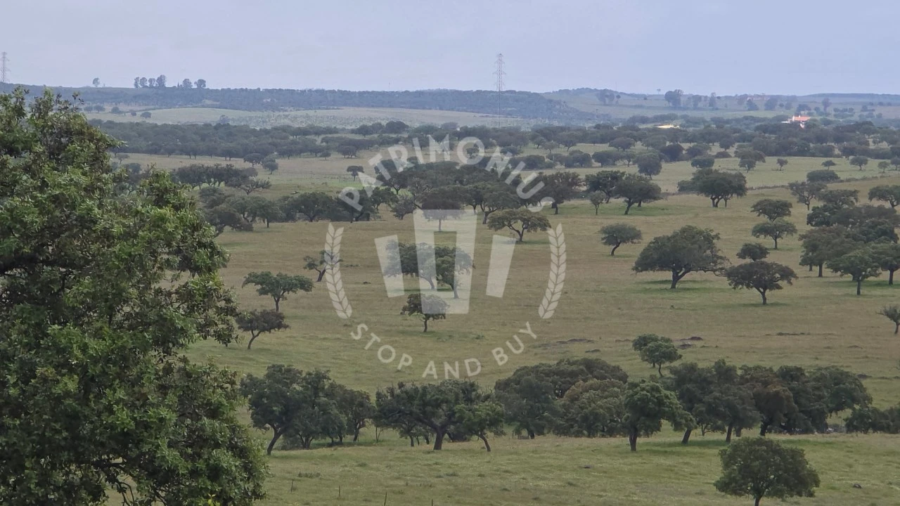 Quinta para Venda em Ourique Foto 39
