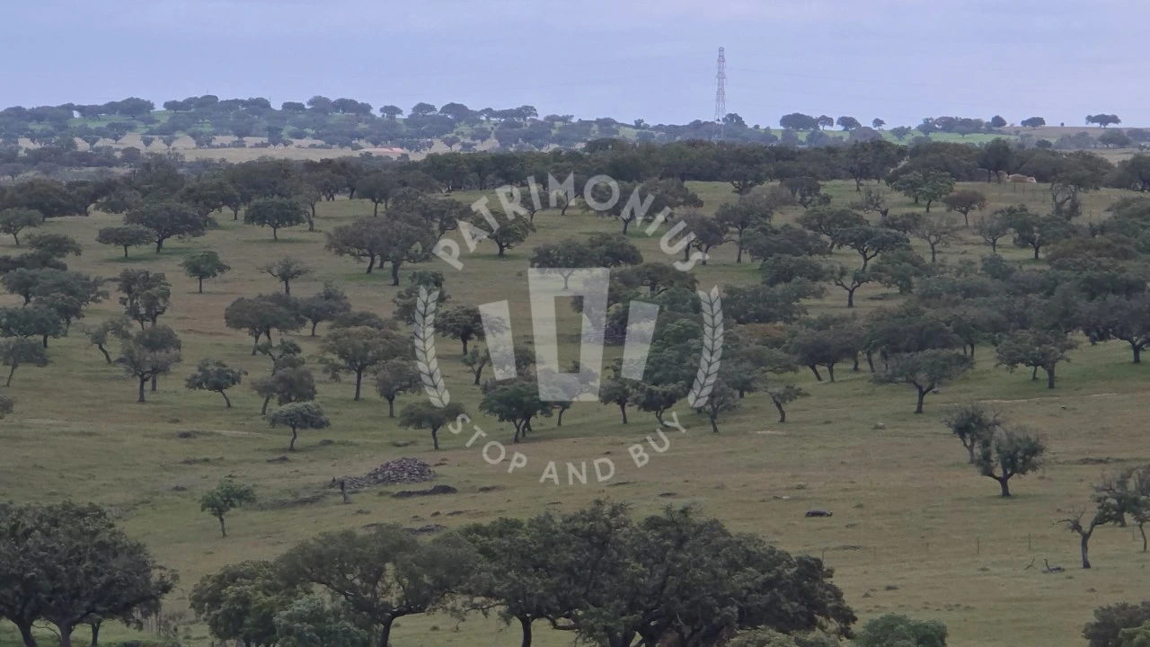 Quinta para Venda em Ourique Foto 41