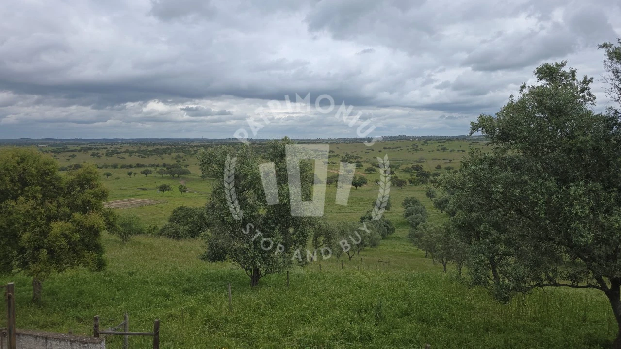 Quinta para Venda em Ourique Foto 45